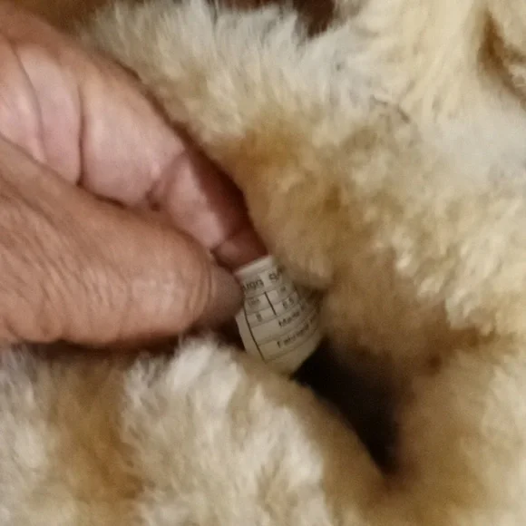 UGG boots size 8 women - Picture 6 of 6